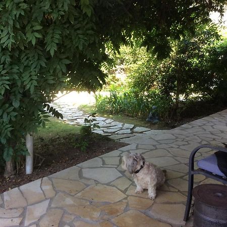 Angresse Chez Uli B&B 외부 사진